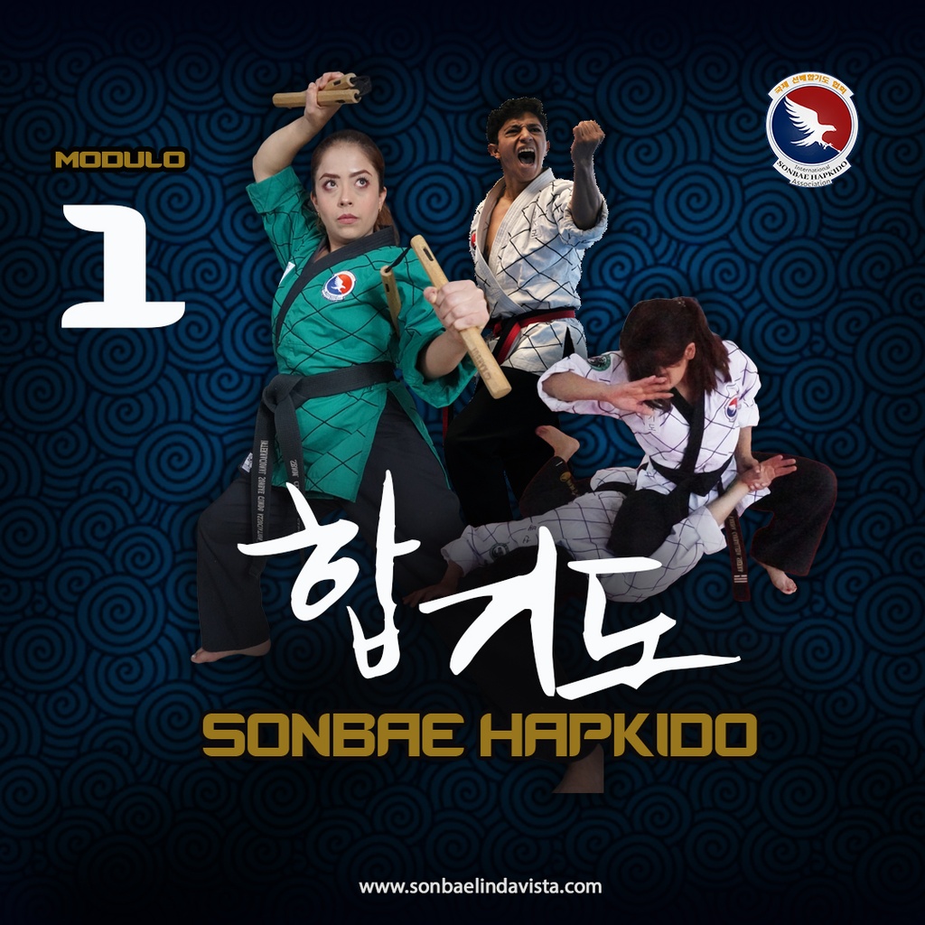 Hapkido Módulo 1