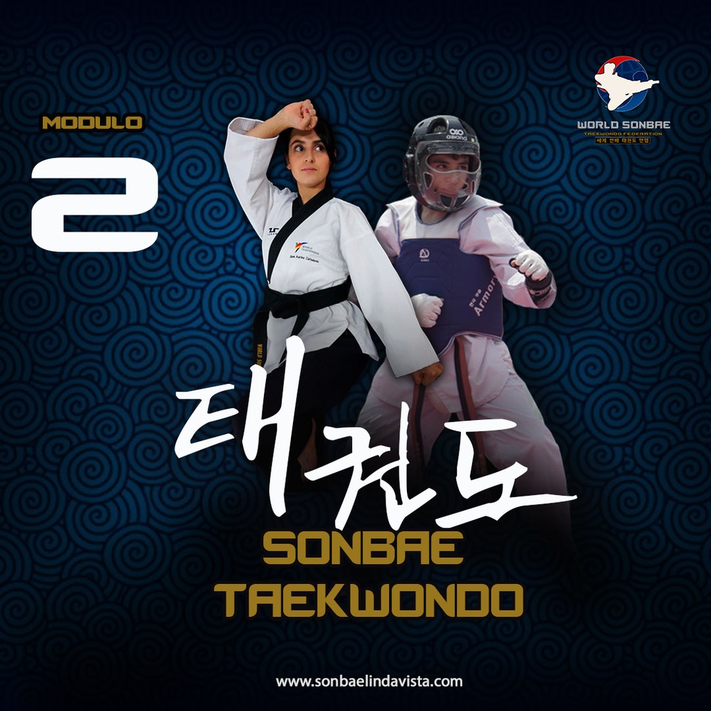 Capacitación Básica Taekwondo Modulo 2